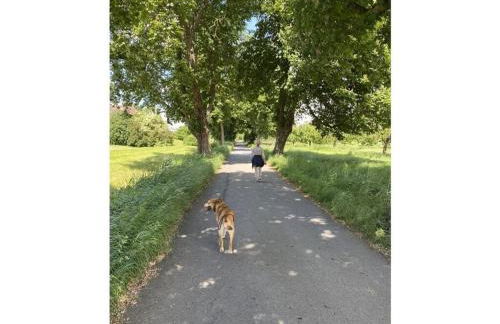 Holiday Apartment Elbe - Foto 57