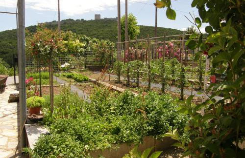 Orfeas -Vacation Home - Foto 19