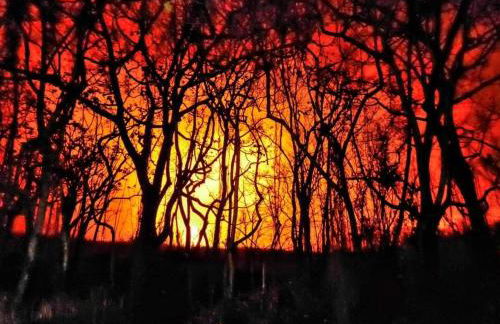 Hale Mapuana - Foto 51