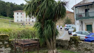 Casa Gin Tazones - Foto 4, Garden