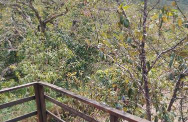 Rosa dos Ventos Chalés - Foto 8