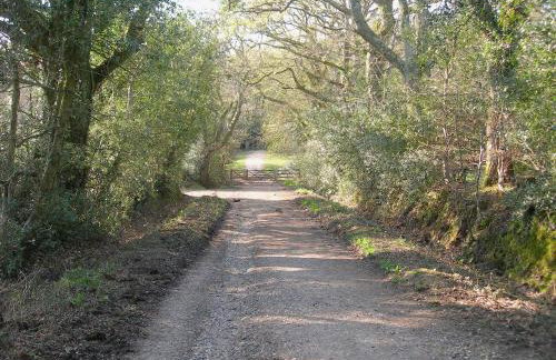 Laurel Cottage - Foto 14