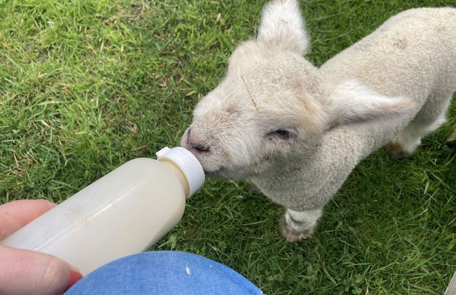 Gratton Grange Farm Holiday Cottage - Foto 32