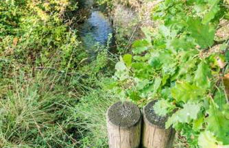 Villa La Jonche - Foto 54