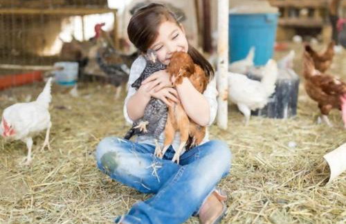 Amplia casa rural en el corazón del valle Ulzama - Photo 30