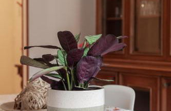 Il Melograno Holiday House - Foto 39