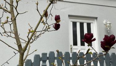 Waldtraum Wandlitzsee - Foto 3