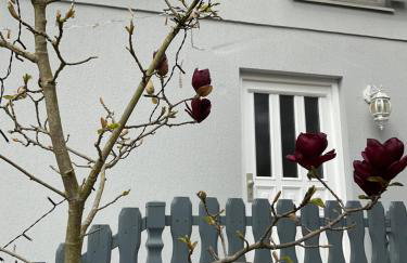 Waldtraum Wandlitzsee - Foto 3