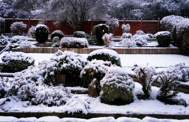 Spacious Flat in Adenau Near the Nurburgring - Foto 39