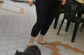 La Casa di Pamy - Foto 55