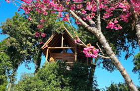 Casa na Árvore - Foto 26