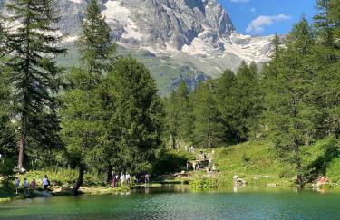 Magnificent spacious 4 bedroom mountain chalet with spa - Foto 36