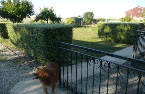 L'Haubette - Foto 10