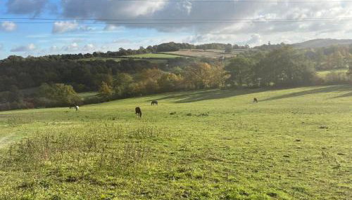 The Farm Barn - Foto 3