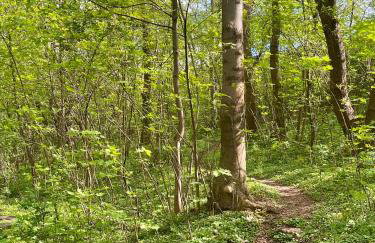 Apartamenty Swarzędz - Foto 22