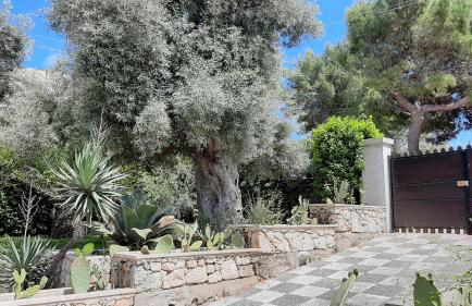 Villa Plemmyria - Foto 67