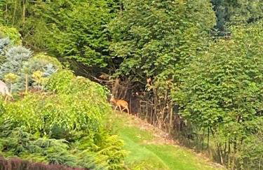 Apartamenty Kozubnik - Apartament 16 z dużym tarasem - Foto 27