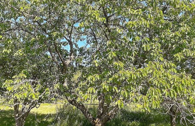 6 Person Holiday Home in Solvesborg-by Traum - Photo 3