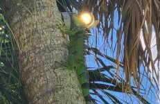 Sunset Haven - Luxury 5br 5bath Coastal Retreat - Foto 20