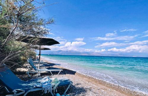 The Artist's Farm - Foto 13