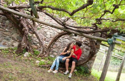 Residence Rebgut - Foto 36