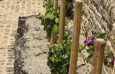 Domaine les Pierres - Foto 34