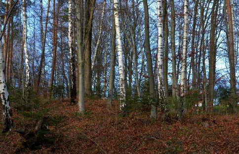 Na końcu świata - Foto 60