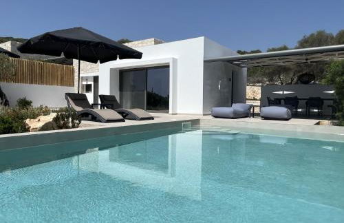 Mesogi Villas, brand new modern, stylish villas, private pool, seaviews - Photo 1