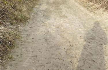 Strandstern Norddeich - Foto 13