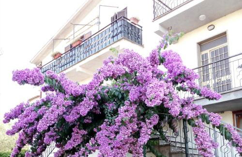 La Bouganville - Foto 50