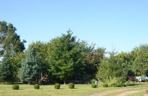 Ferienwohnung Nähe Dahme-Mark - Photo 12