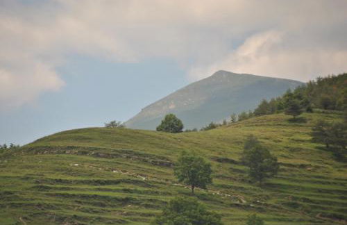 Can Taga Verd St Joan - Foto 7