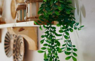 biodelfico, Policoro, Matera, Montalbano, mare - Photo 29