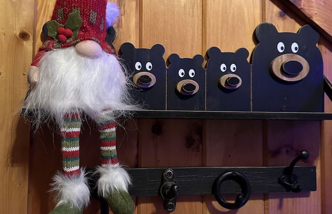 Bearly Gnomey - Foto 7