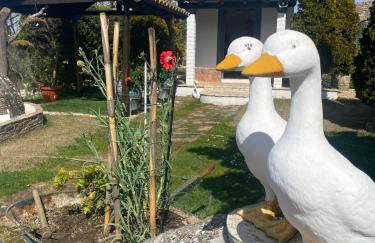 Liotrivi Suites - Foto 29