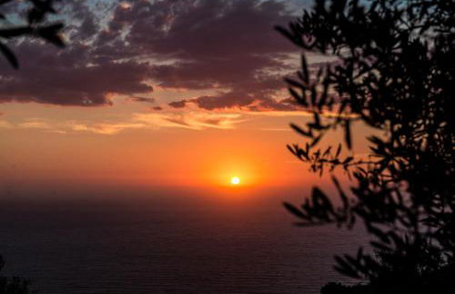 Aloni Studios & Apartments - Foto 51