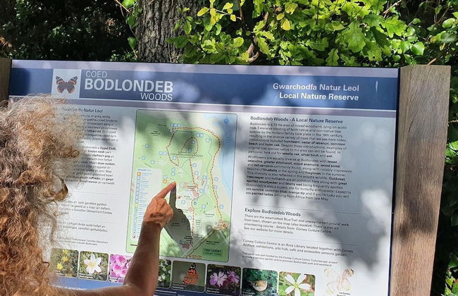 Idlewild Animal Sanctuary Farmhouse Stay - Charity - Photo 33