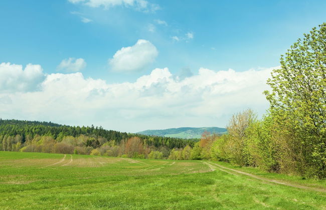 Vacation Home With Terrace in Schirgiswalde - Foto 32