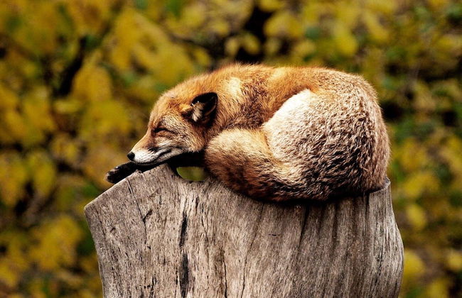 7 Person Holiday Home in Oxaback-by Traum - Foto 21