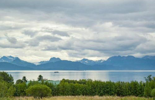 Rockfish Retreat at Kachemak Bay Kabins - Photo 17