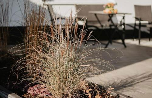 Rheinzeit-Weisweil - Foto 40