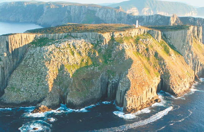 Giro in barca all'isola Tasman - Foto 7