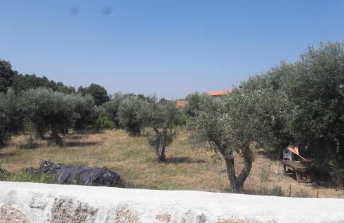 Casa do Beirado - Foto 21