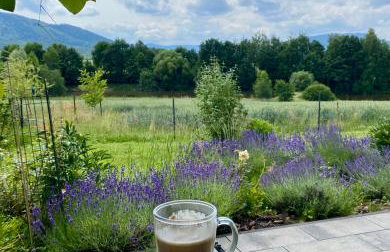 Zaczarowane Wzgórze - Domek w Beskidach - Foto 33