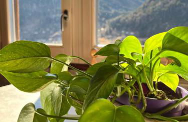 Residenze Vezza - Home sweet home- - Foto 39