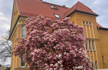 Wohnen in der alten Max Selbmann Villa - Photo 2