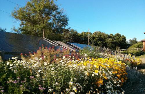 Agriturismo Borgo Campetroso - Foto 111