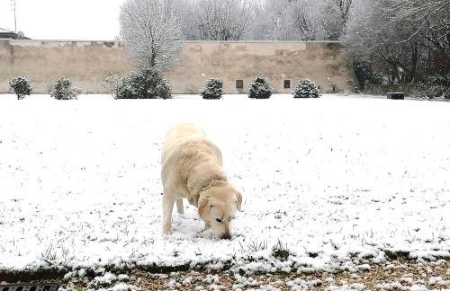 Dependance Sangiantofetti-Rigon - Foto 33