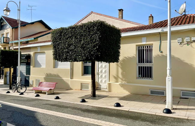 Terre et Mer - Foto 22