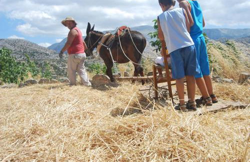 Arodamos Guesthouse - Foto 55